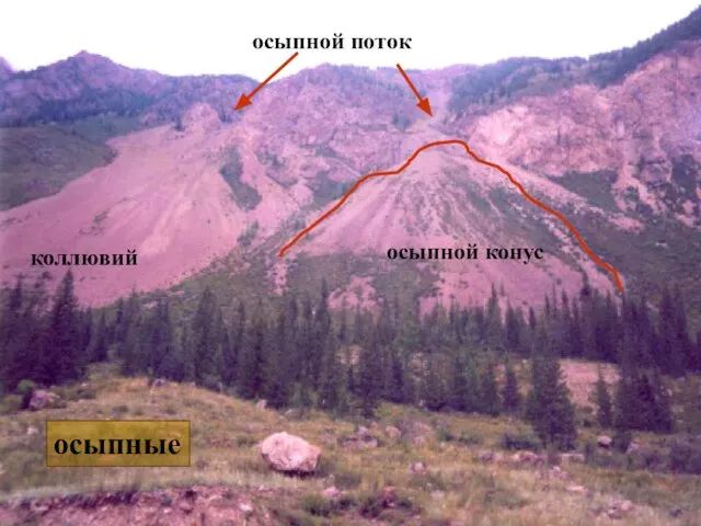 осыпные осыпной поток осыпной конус коллювий