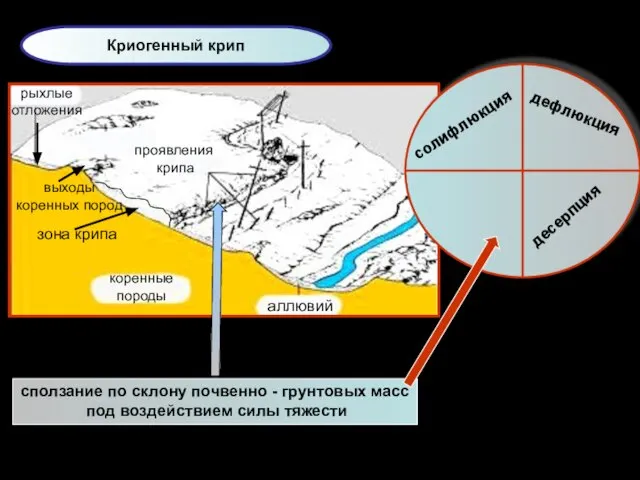 Криогенный крип аллювий аллювий коренные породы зона крипа рыхлые отложения проявления крипа