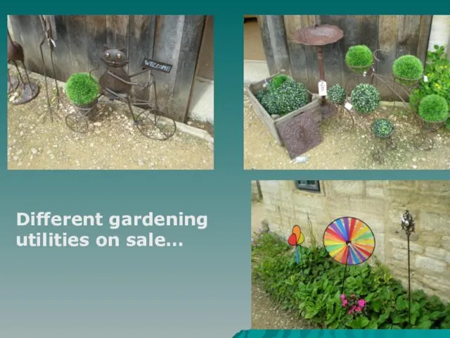 Different gardening utilities on sale…