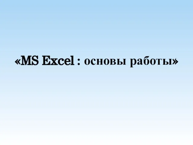 «MS Excel : основы работы»