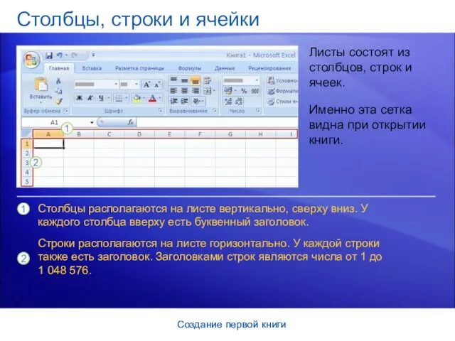 Создание первой книги Создание первой книги Столбцы, строки и ячейки Листы состоят