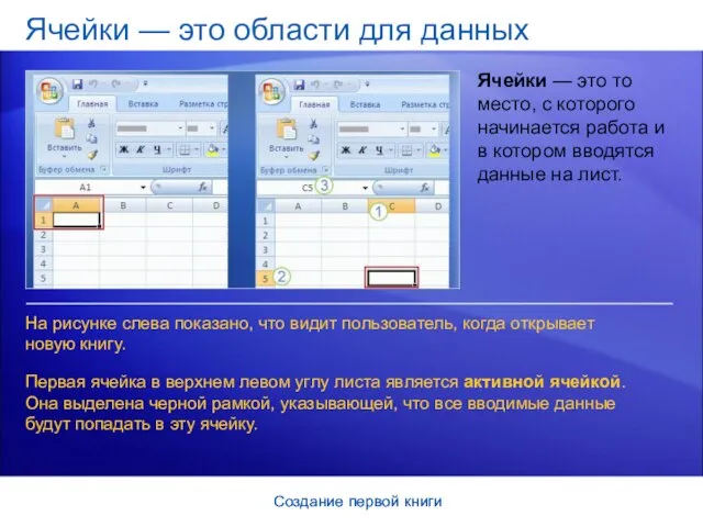 Создание первой книги Создание первой книги Ячейки — это области для данных
