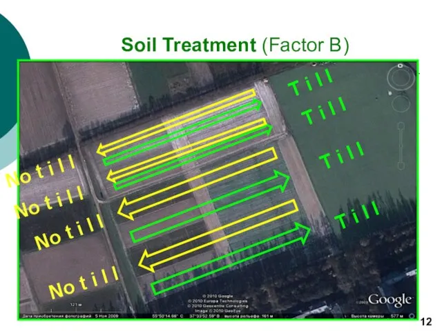 Soil Treatment (Factor B) 12 T i l l T i l