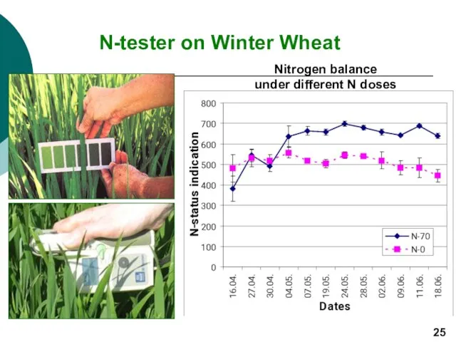 N-tester on Winter Wheat Nitrogen balance under different N doses 25