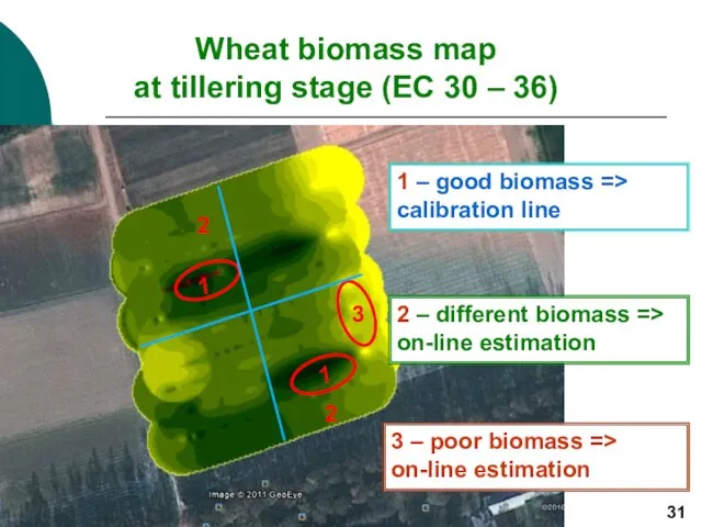 Wheat biomass map at tillering stage (ЕС 30 – 36) 1 2