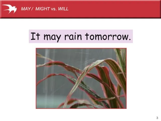 It may rain tomorrow. MAY / MIGHT vs. WILL