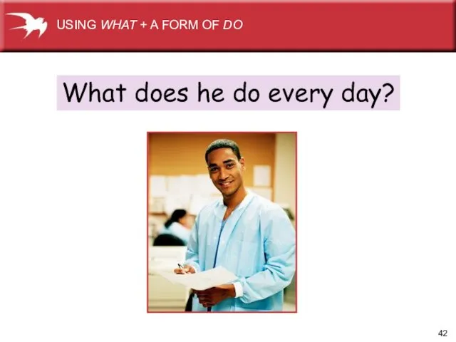 What does he do every day? USING WHAT + A FORM OF DO