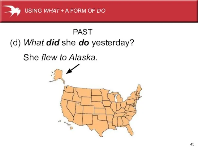 (d) What did she do yesterday? She flew to Alaska. PAST USING