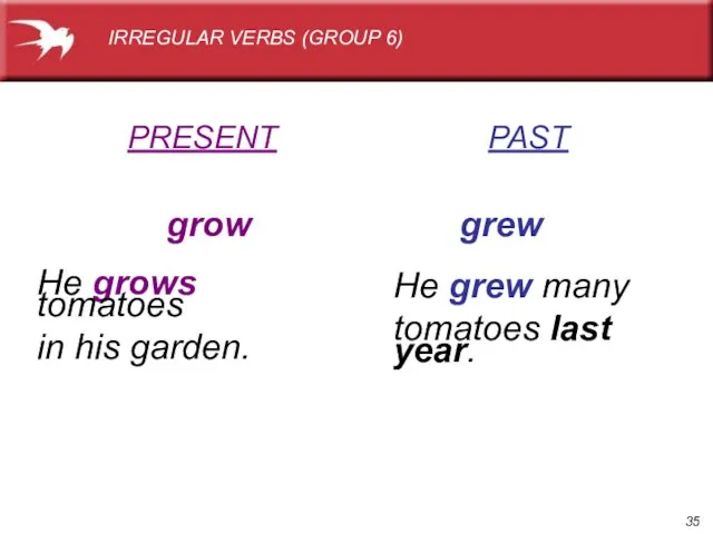 PRESENT PAST grow grew He grows tomatoes in his garden. He grew