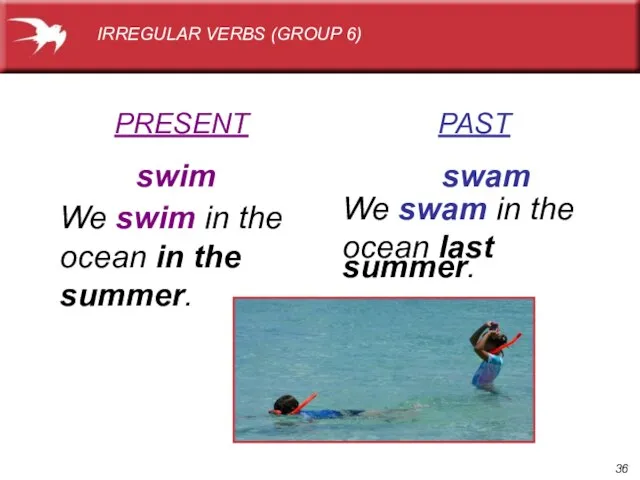 PRESENT PAST swim swam We swim in the ocean in the summer.