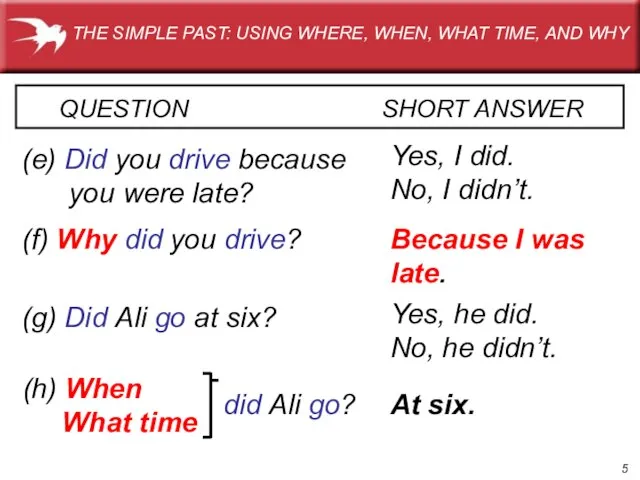 QUESTION SHORT ANSWER (e) Did you drive because you were late? Yes,