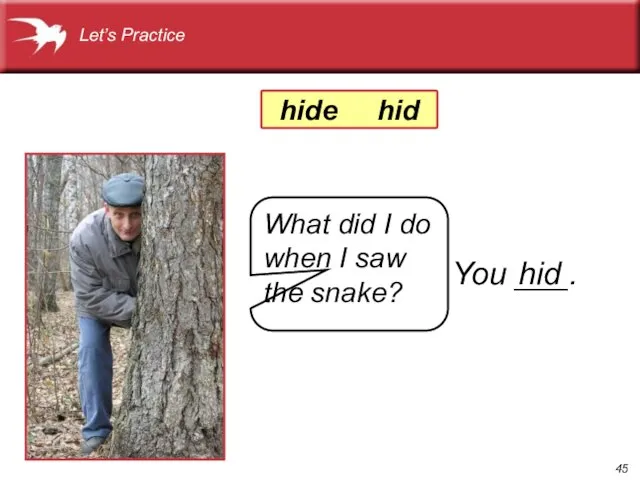 Let’s Practice What did I do when I saw the snake? You ___. hid hide hid