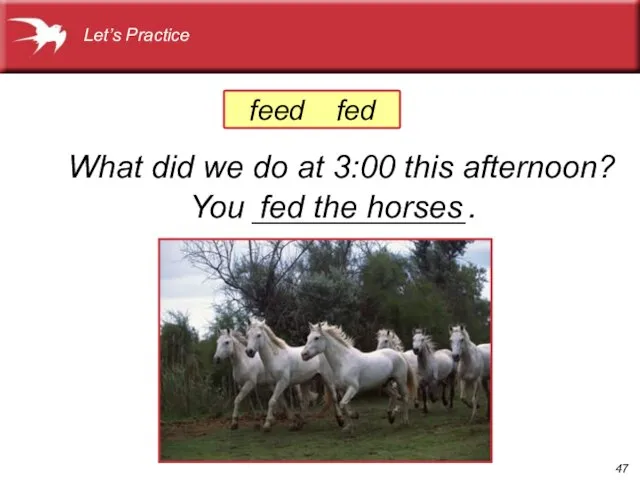 What did we do at 3:00 this afternoon? You ____________. Let’s Practice