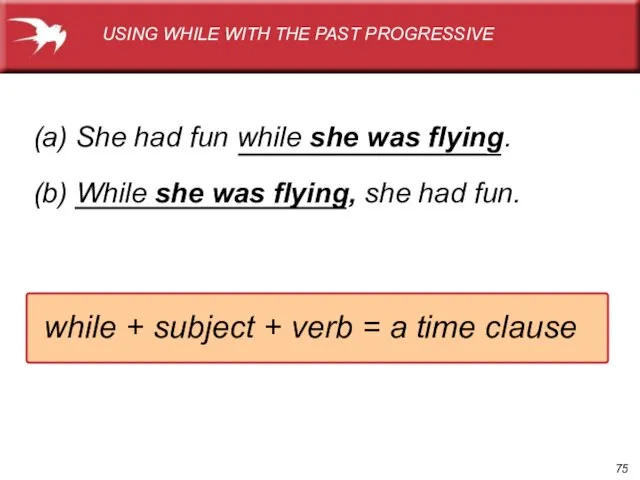 (a) She had fun while she was flying. (b) While she was