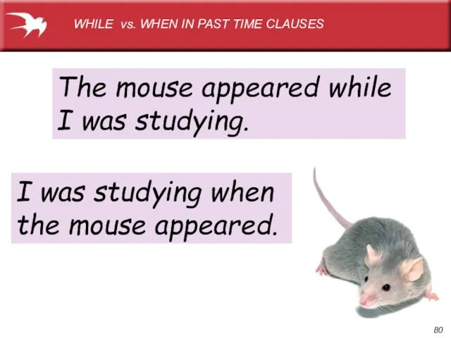 WHILE vs. WHEN IN PAST TIME CLAUSES The mouse appeared while I