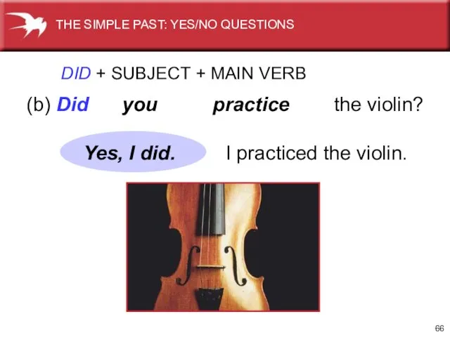 DID + SUBJECT + MAIN VERB (b) Did you practice the violin?