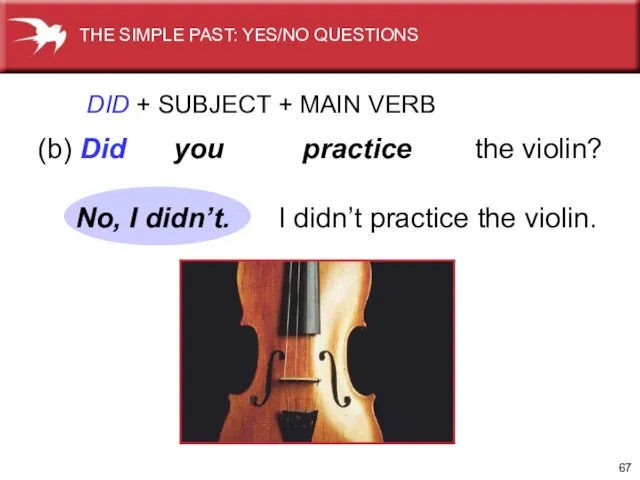 (b) Did you practice the violin? DID + SUBJECT + MAIN VERB