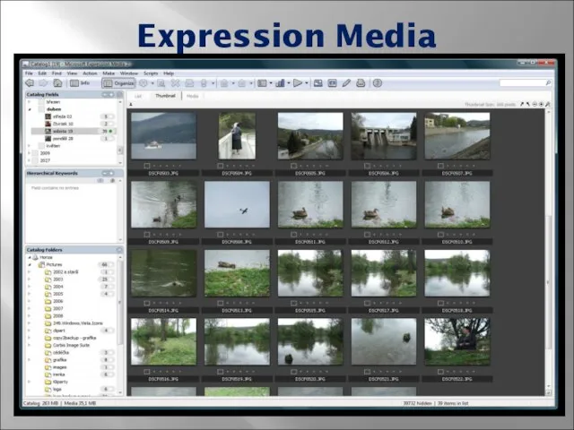 Expression Media