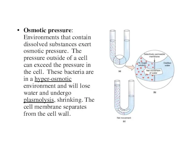 Osmotic pressure: Environments that contain dissolved substances exert osmotic pressure. The pressure