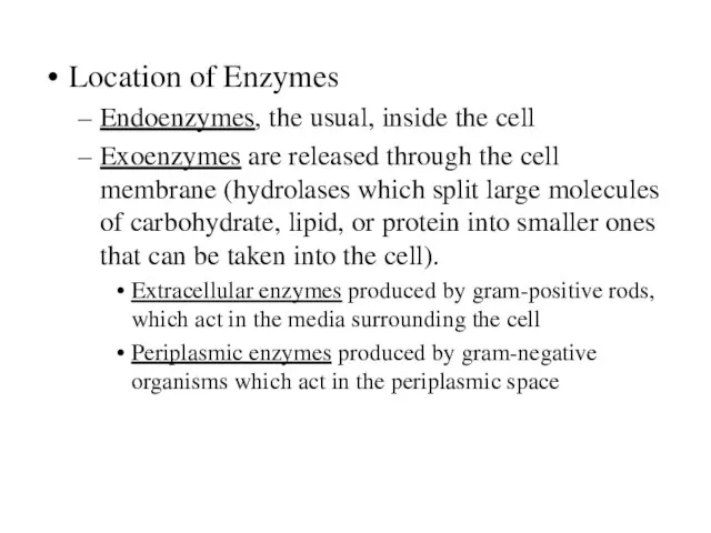 Location of Enzymes Endoenzymes, the usual, inside the cell Exoenzymes are released