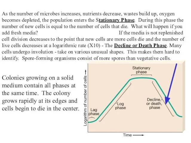 As the number of microbes increases, nutrients decrease, wastes build up, oxygen