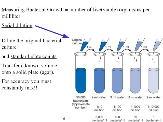 Fig. 6-6 .. Measuring Bacterial Growth = number of live(viable) organisms per