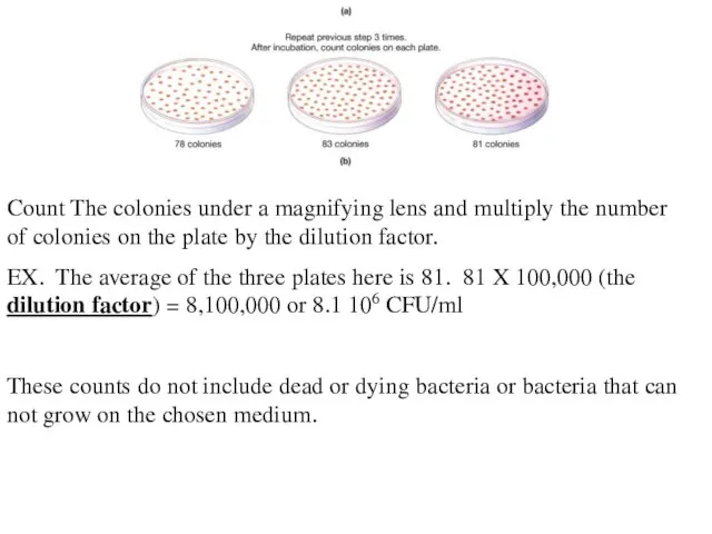 Count The colonies under a magnifying lens and multiply the number of