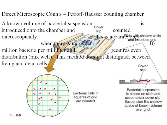 Fig. 6-9 Direct Microscopic Counts – Petroff-Hausser counting chamber A known volume