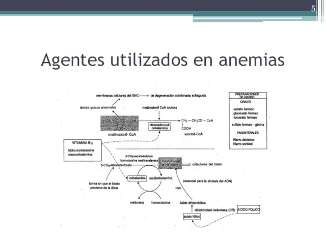 Agentes utilizados en anemias