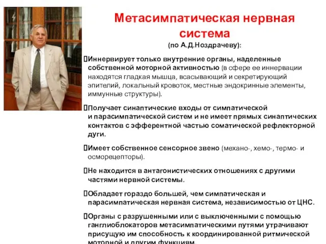 Метасимпатическая нервная система (по А.Д.Ноздрачеву): Иннервирует только внутренние органы, наделенные собственной моторной