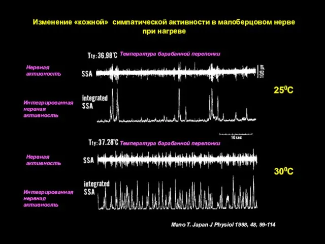 Mano T. Japan J Physiol 1998, 48, 99-114 Изменение «кожной» симпатической активности