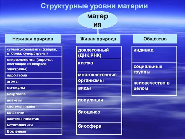 Структурные уровни материи материя Неживая природа Живая природа Общество