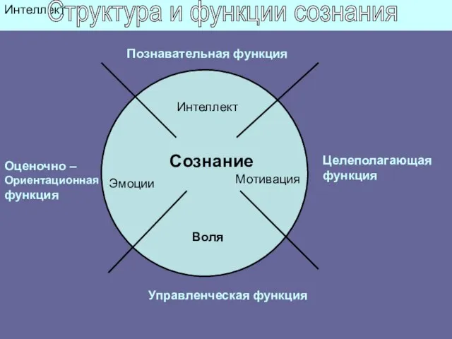 Интеллект Интеллект Сознание Мотивация Воля Эмоции Познавательная функция Целеполагающая функция Управленческая функция