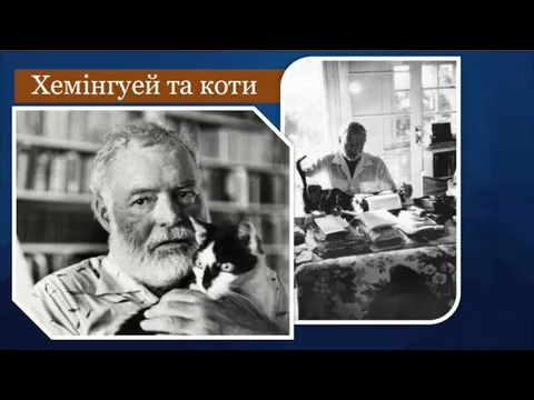 Хемінгуей та коти