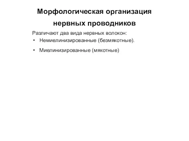 Морфологическая организация нервных проводников Различают два вида нервных волокон: Немиелинизированные (безмякотные). Миелинизированные (мякотные)