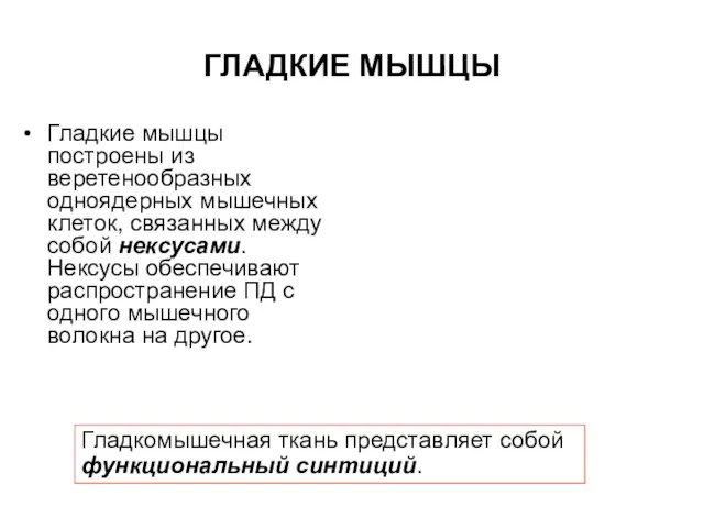 ГЛАДКИЕ МЫШЦЫ Гладкие мышцы построены из веретенообразных одноядерных мышечных клеток, связанных между