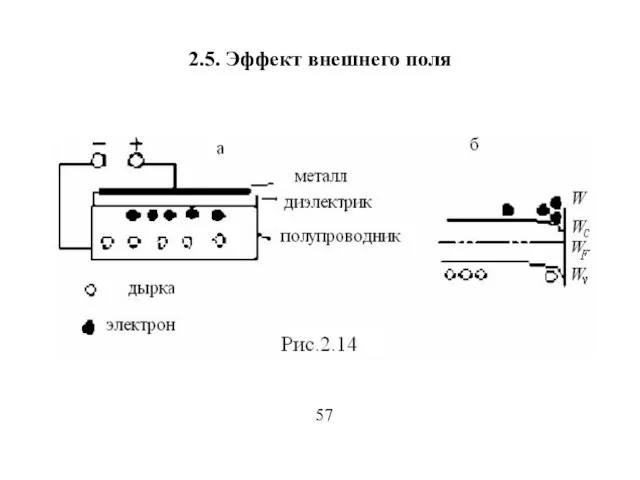 2.5. Эффект внешнего поля 57