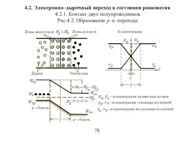 4.2. Электронно–дырочный переход в состоянии равновесия 4.2.1. Контакт двух полупроводников. Рис.4.2. Образование p–n–перехода 78