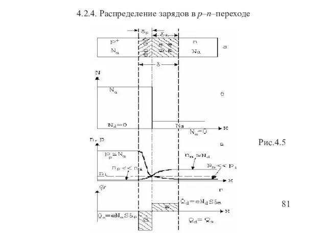 4.2.4. Распределение зарядов в p–n–переходе 81 Рис.4.5