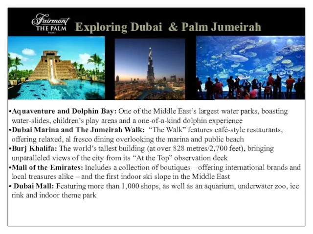 Exploring Dubai & Palm Jumeirah Aquaventure and Dolphin Bay: One of the