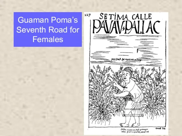 Guaman Poma’s Seventh Road for Females