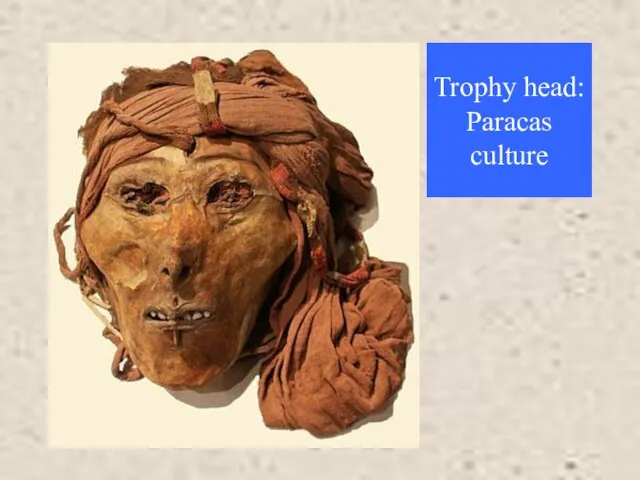 Trophy head: Paracas culture