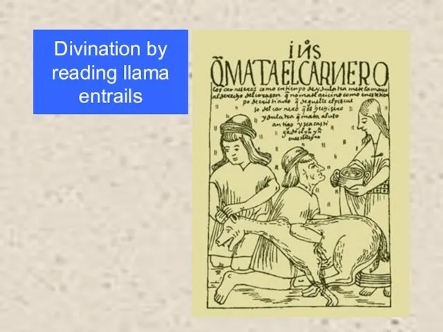 Divination by reading llama entrails