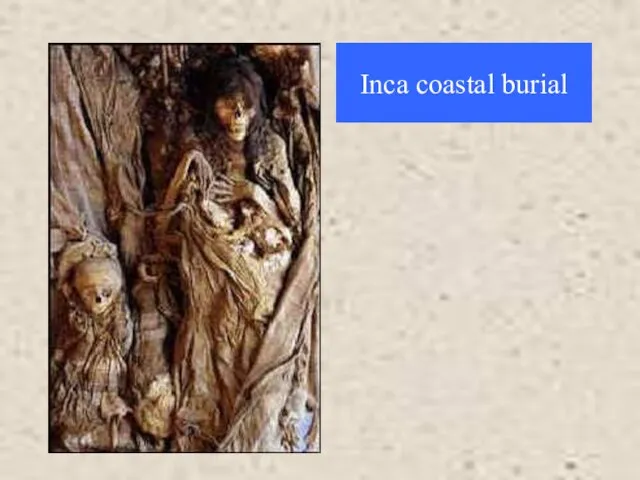 Inca coastal burial