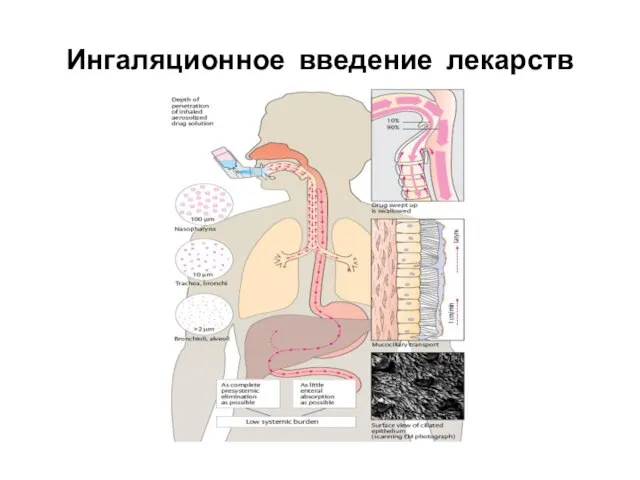 Ингаляционное введение лекарств