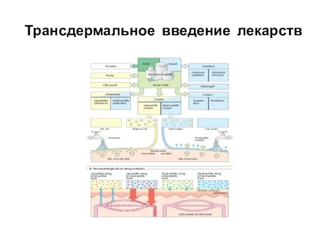 Трансдермальное введение лекарств