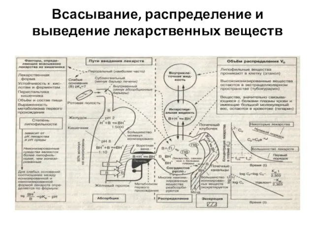 Всасывание, распределение и выведение лекарственных веществ