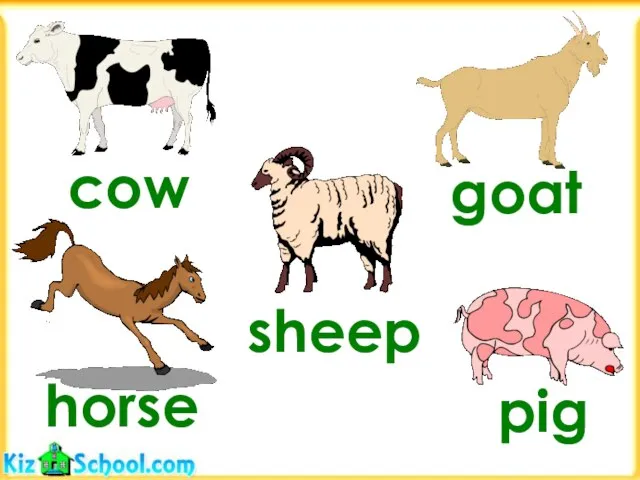 cow pig horse goat sheep