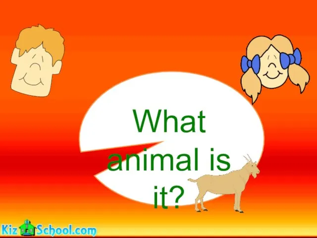 What animal is it?