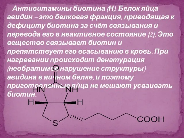 Антивитамины биотина (Н). Белок яйца авидин – это белковая фракция, приводящая к